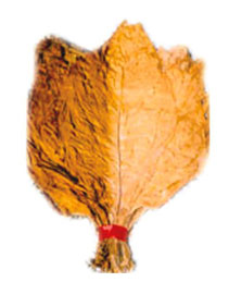 light air cured Burley Tobacco