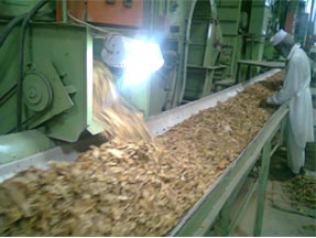 leaf tobacco shredded tobacco dark air cured tobacco rustica tobacco