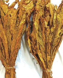 dark air-cured tobacco