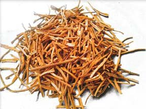 Flue Cured Virginia and Burley Tobacco